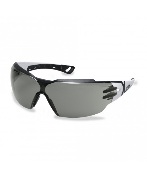 Lunettes de protection Pheos CX2 9198.237 - UVEX