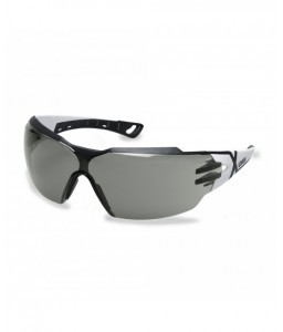 Lunettes de protection Pheos CX2 9198.237 - UVEX