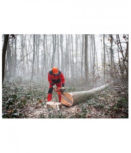 Pantalon forestier anti coupure - MOLINEL - SIP - Forestier - 3
