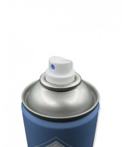 Aérosol désinfectant bactéricide air & surfaces 750mL - Accueil - 2