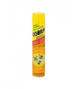 Aérosol insecticide pour insectes volants