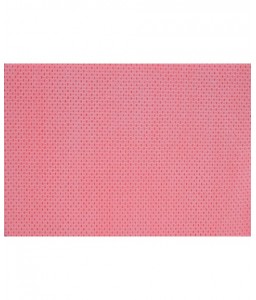Sachet de 25 lavettes BioTiss rouges - Essuyage - 2