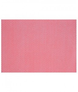 Sachet de 25 lavettes BioTiss rouges - Essuyage - 2