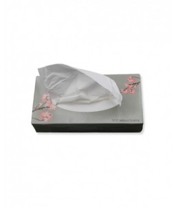 PAQ 4 RLX PAP TOILETTE 3 PLIS - Protection cutanée - 3