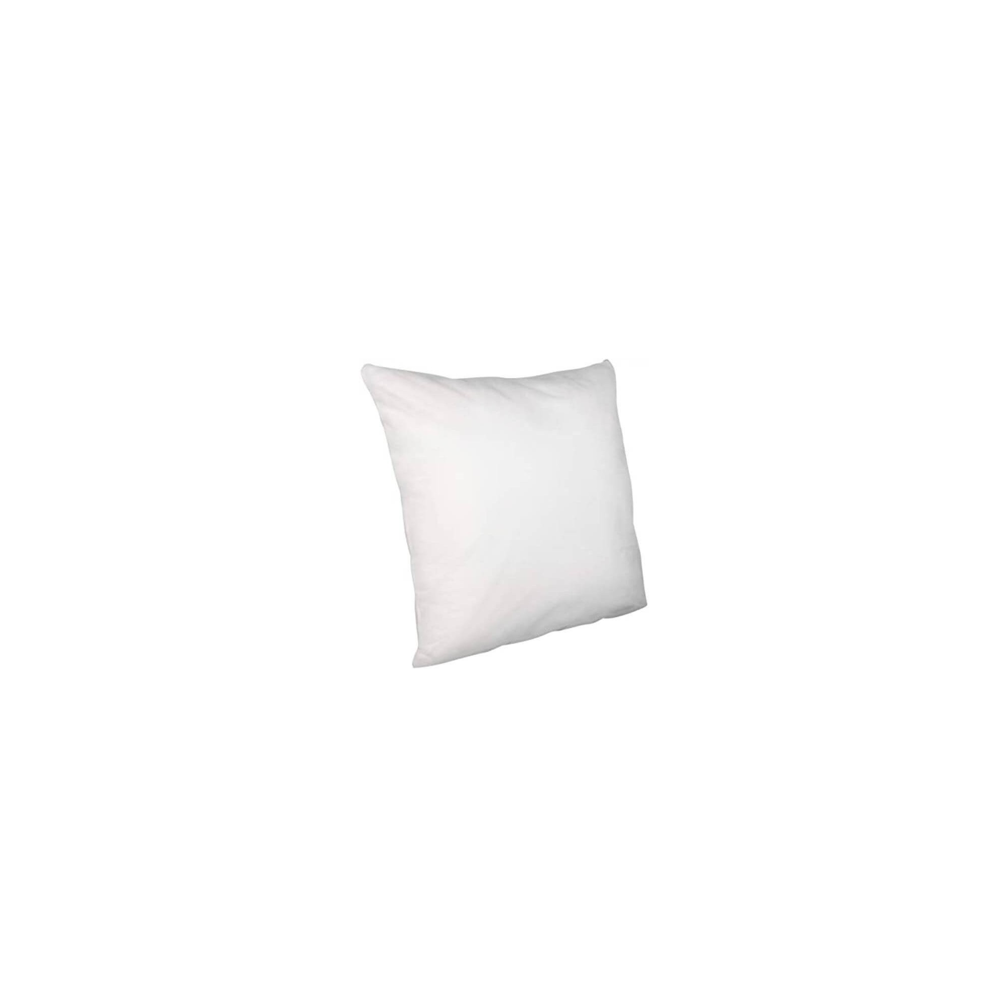 Oreiller blanc semi-durable 55x55 650gr