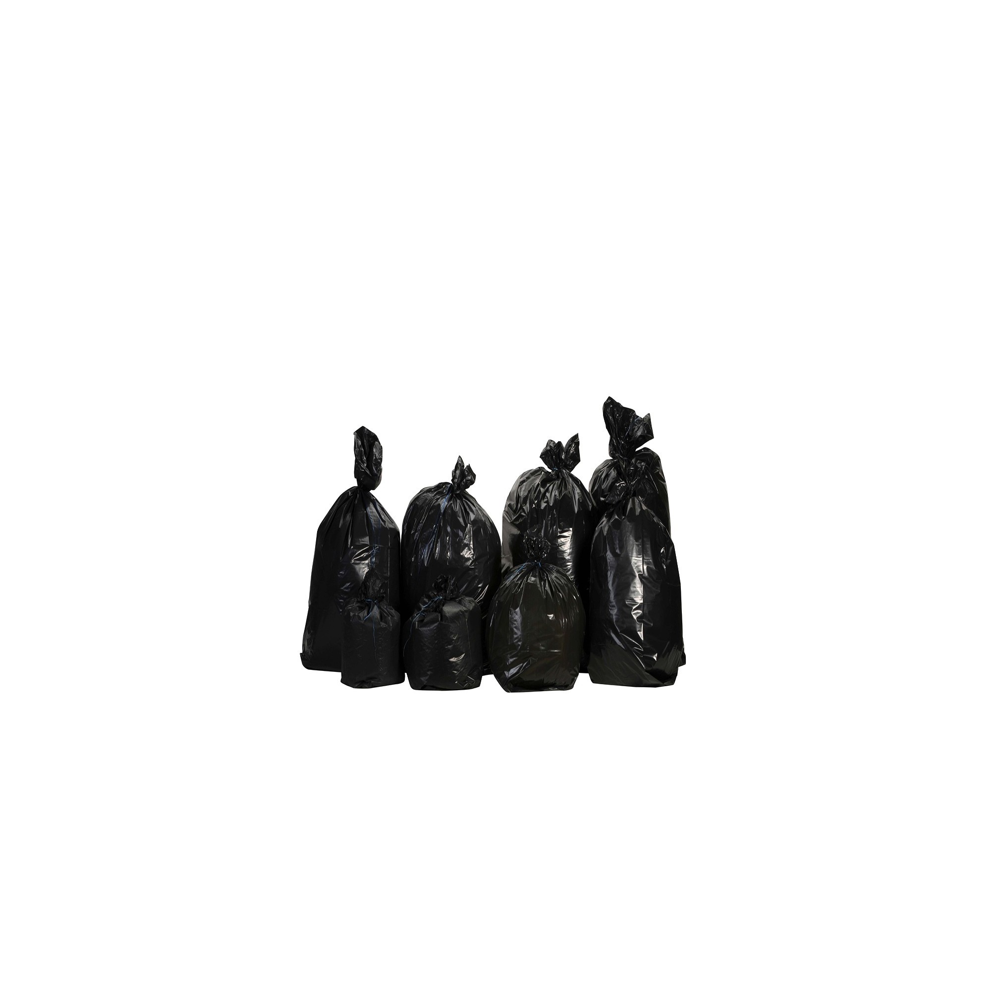 Sacs poubelles PE BD renforcé noir 170L