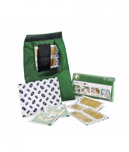 Kit de premiers secours petit modèle CEDDEROTH - CEDERROTH - Soins de l'œil et douches oculaires - 3