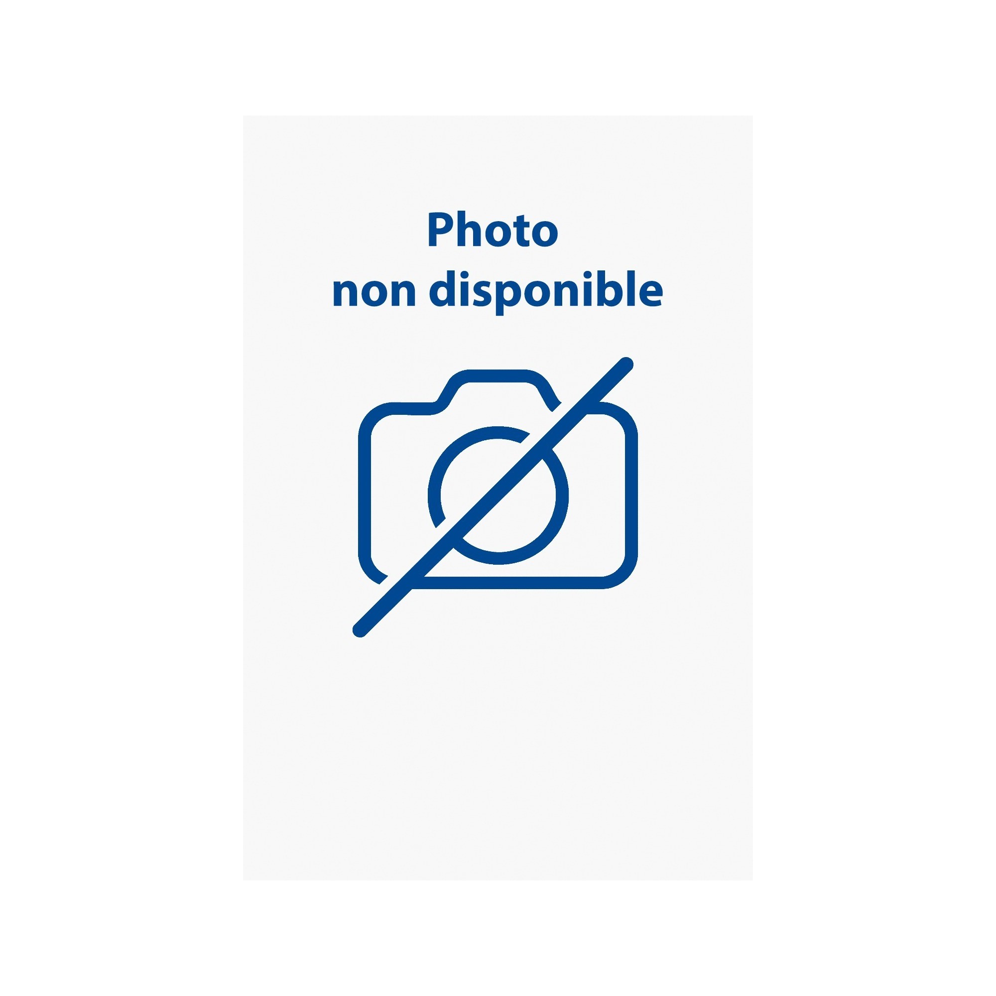 BANDEAUX ANTI-TRANSPI 550 X2 - LINCOLN ELECTRIC