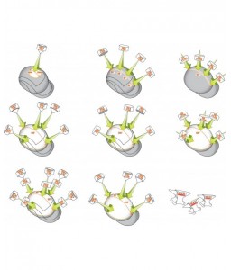 Casquettes anti-heurt hiver en polaire HARCAP A1 - JSP - Casquette de protection - 3