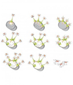 Casquettes anti-heurt hiver en polaire HARCAP A1 - JSP - Casquette de protection - 3