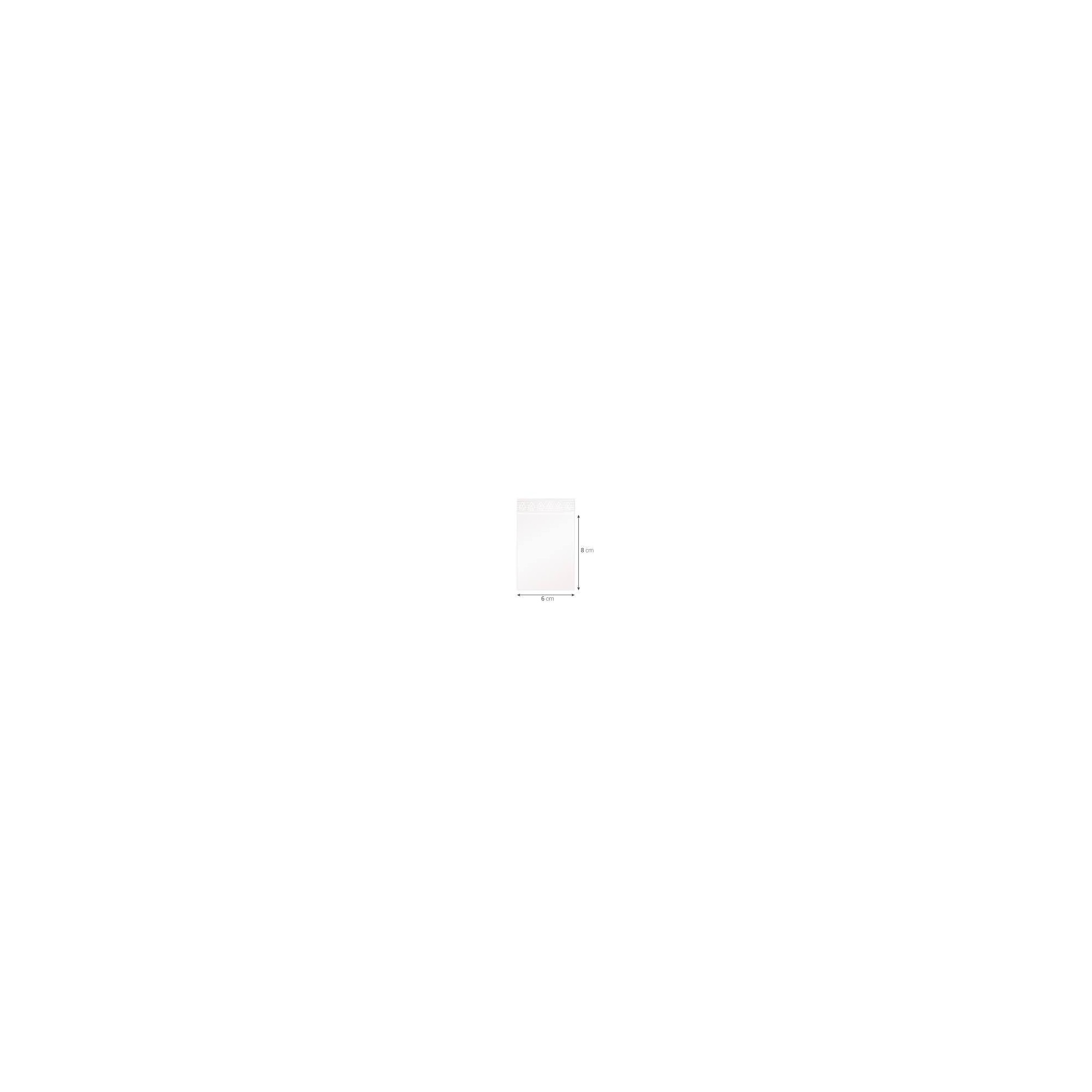 SACHET 60X80MM SANS LOGO