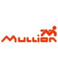 MULLION