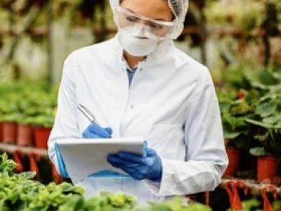 Protection en milieu agroalimentaire : allier hygiène et sécurité